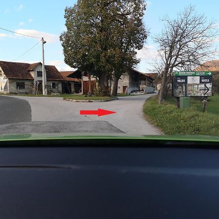 Guesthouse Braslovce - Celje Екстериор снимка