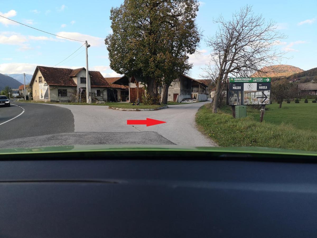 Guesthouse Braslovce - Celje Екстериор снимка