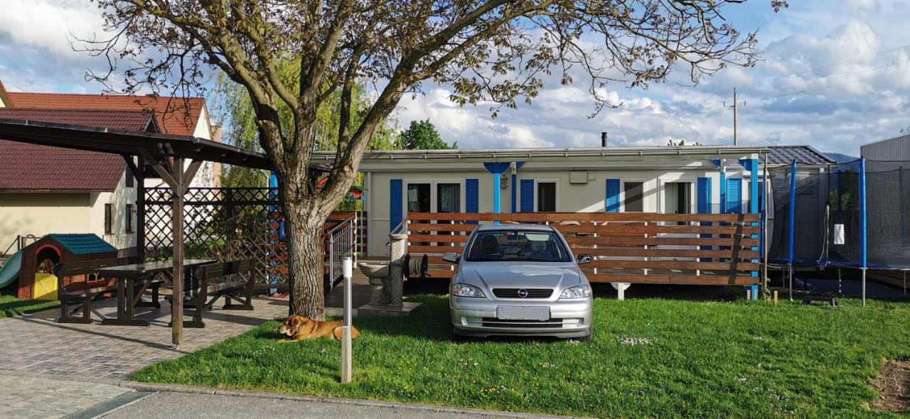 Guesthouse Braslovce - Celje Екстериор снимка