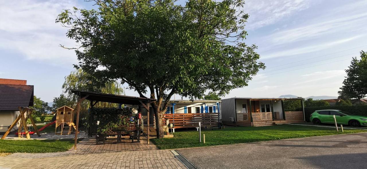 Guesthouse Braslovce - Celje Екстериор снимка